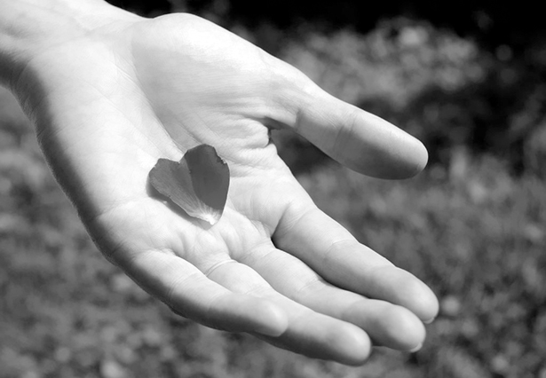  Soutenir les associations : 5 idées pour être solidaire 