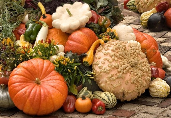 legumes-automne