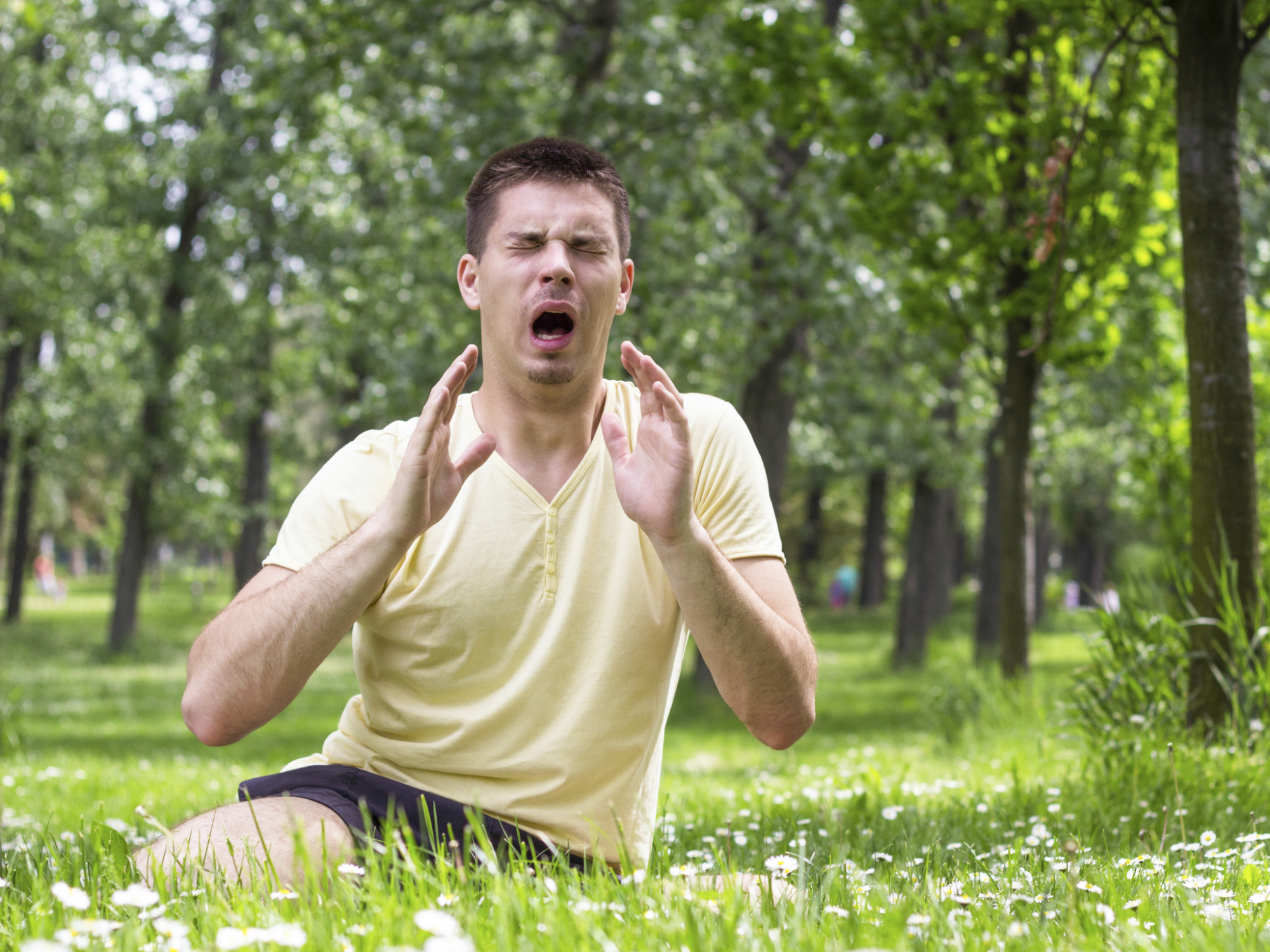 Allergies au printemps