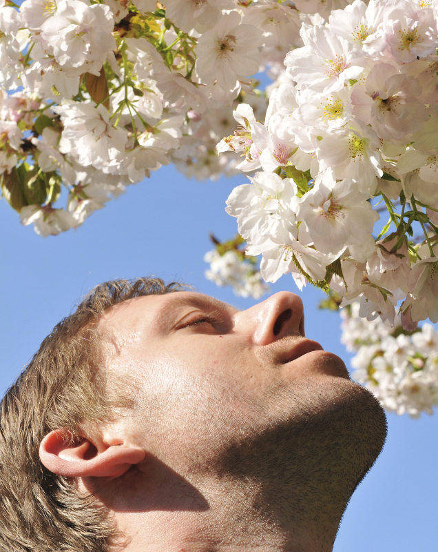 Allergies aux fleurs