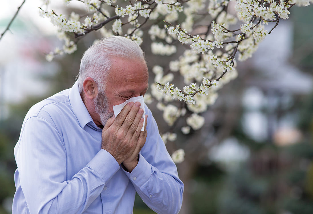 senior allergique